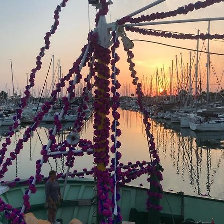 Apartament Le Tricorne Saint-Vaast-la-Hougue Zewnętrze zdjęcie